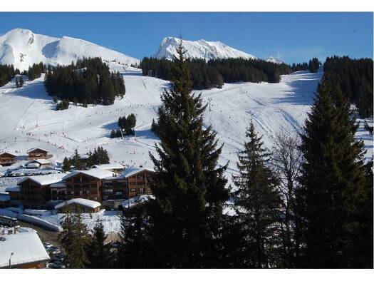 Appartement à vendre 157 500 € 2 pièces 1 chambre 27,3 m² Étage 1/2 Manigod 74230