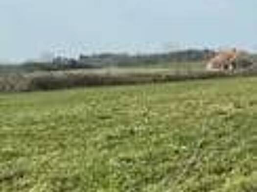 Terrain constructible à vendre 35 000 € 1 300 m² de terrain Sauvigney-lès-Pesmes 70140