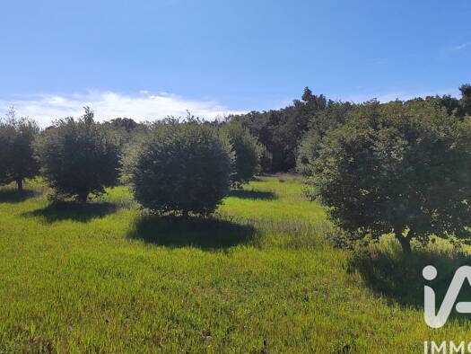Terrain à vendre 34 000 € 4 400 m² de terrain Travaillan 84850