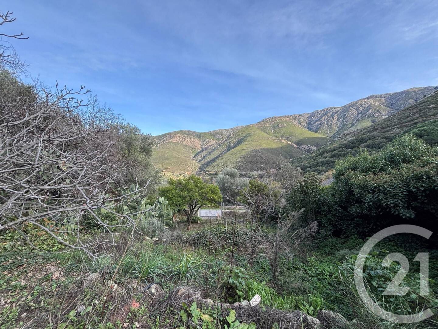 Terrain de 585 m² à Occhiatana - photo 2
