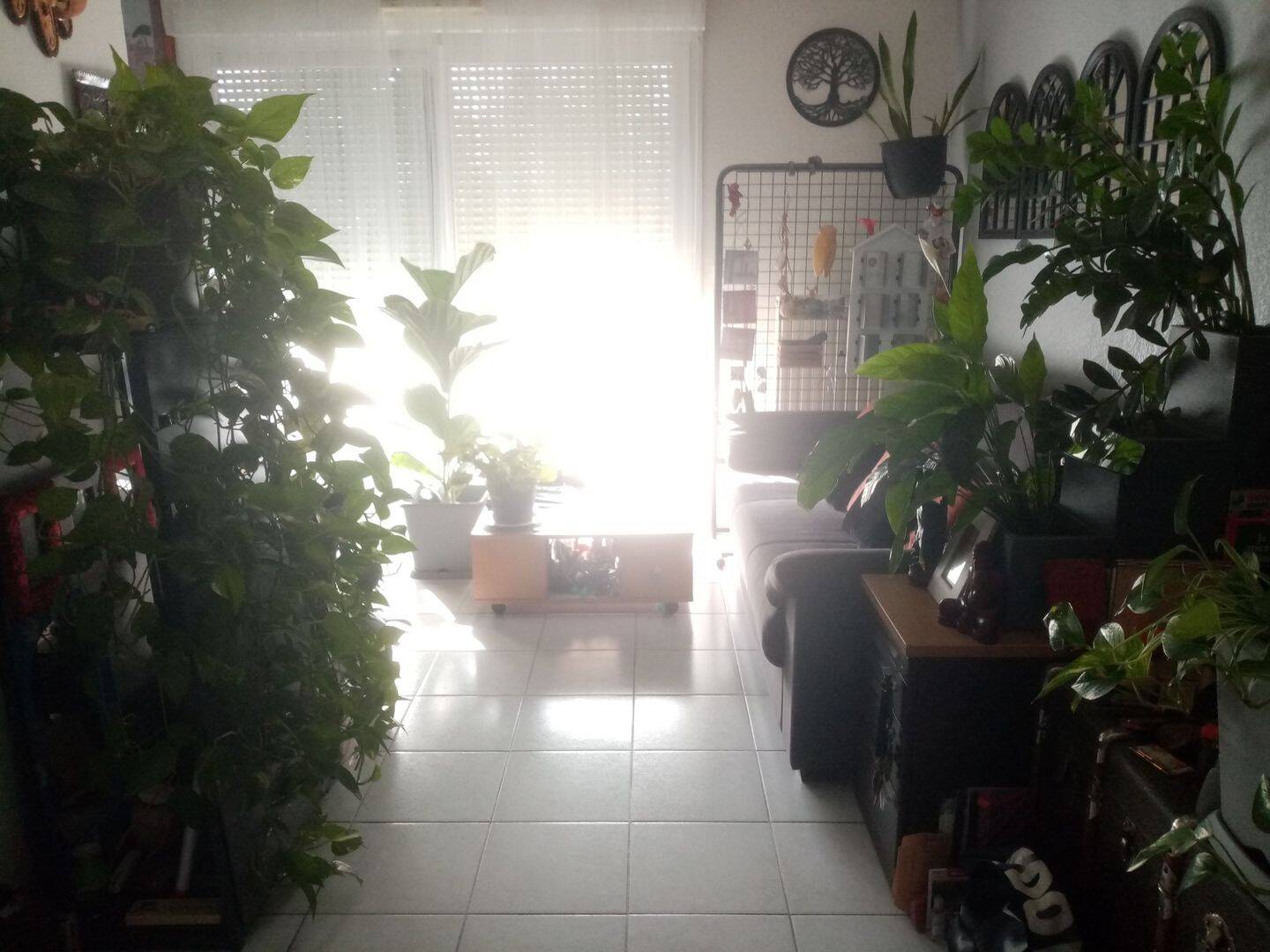 Appartement 4 pièces 72 m² · à Montpellier · 72 m² · 188 000 €
