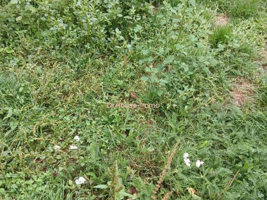 Terrain constructible à vendre 229 000 € 4 360 m² de terrain Saint-Cyr-sur-Menthon 01380