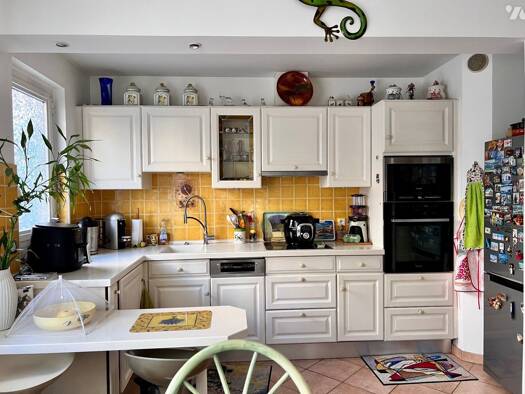 Appartement en viager occupé Bouquet 93 500 € 2 pièces 1 chambre 46,5 m² Étage 1/7 Nice 06100