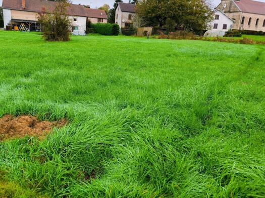 Terrain constructible à vendre 30 000 € 2 178 m² de terrain Franchevelle 70200