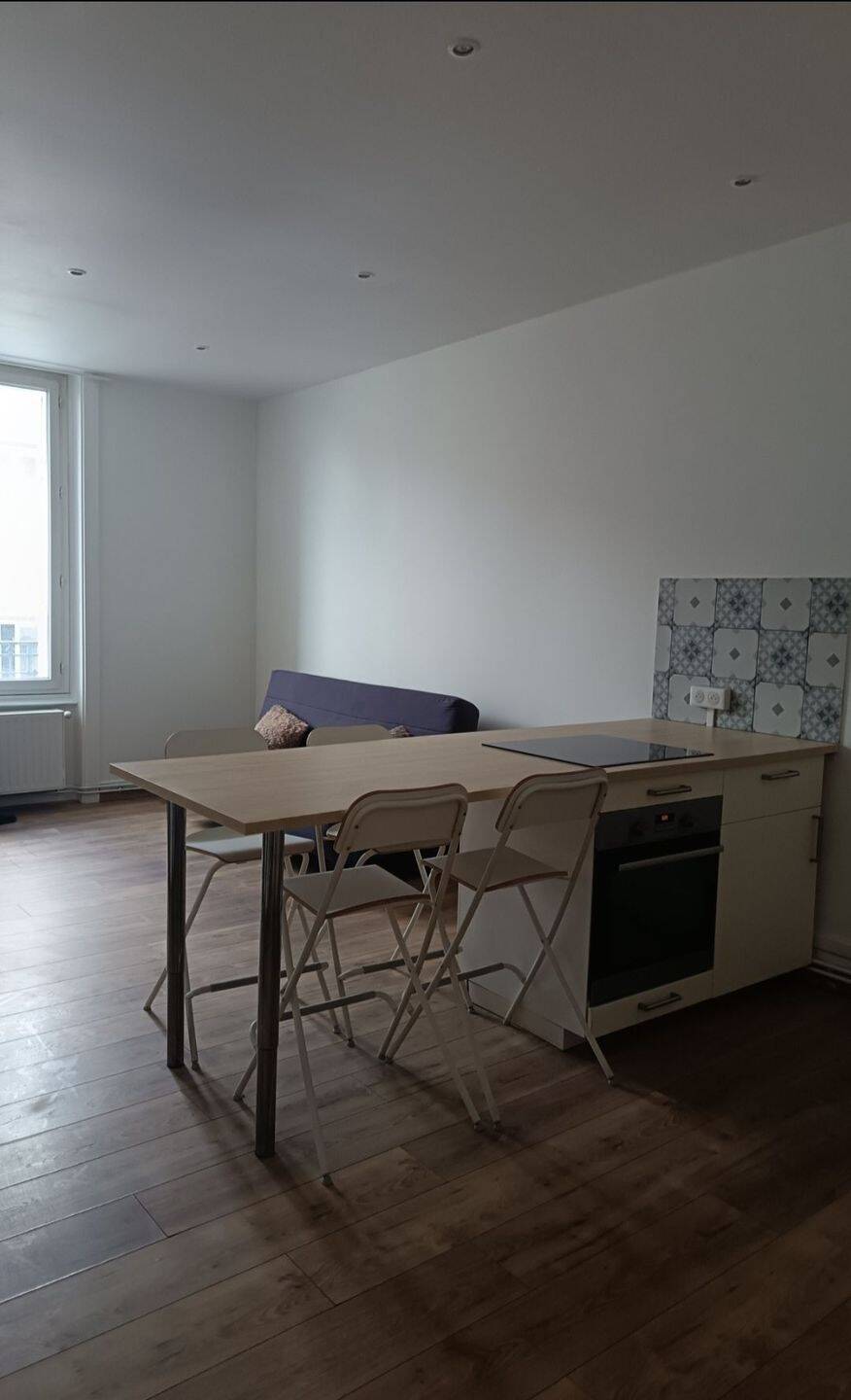 Appartement 1 pièce 48 m² · à Saint-Étienne · 48 m² · 550 €/mois