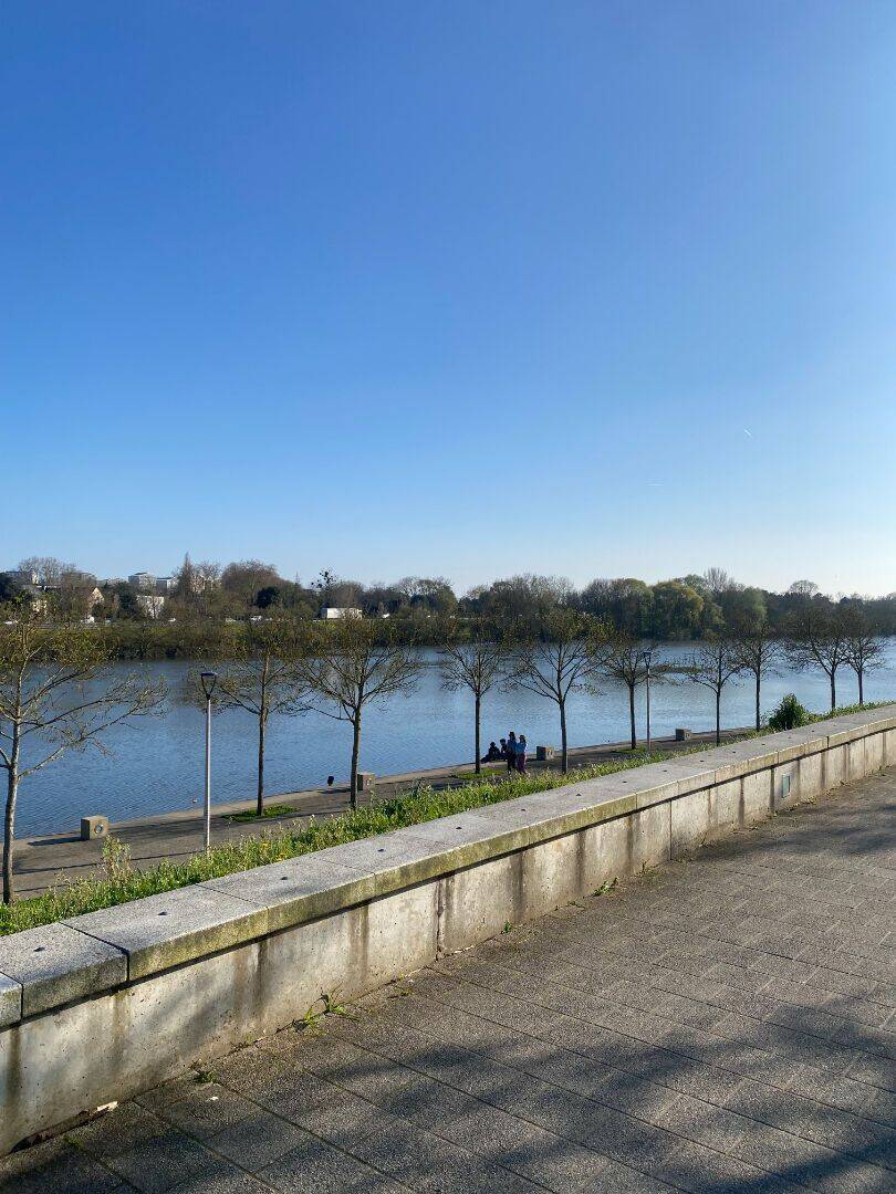 Appartement 3 pièces 63 m² · à Angers · 63,1 m² · 830 €/mois