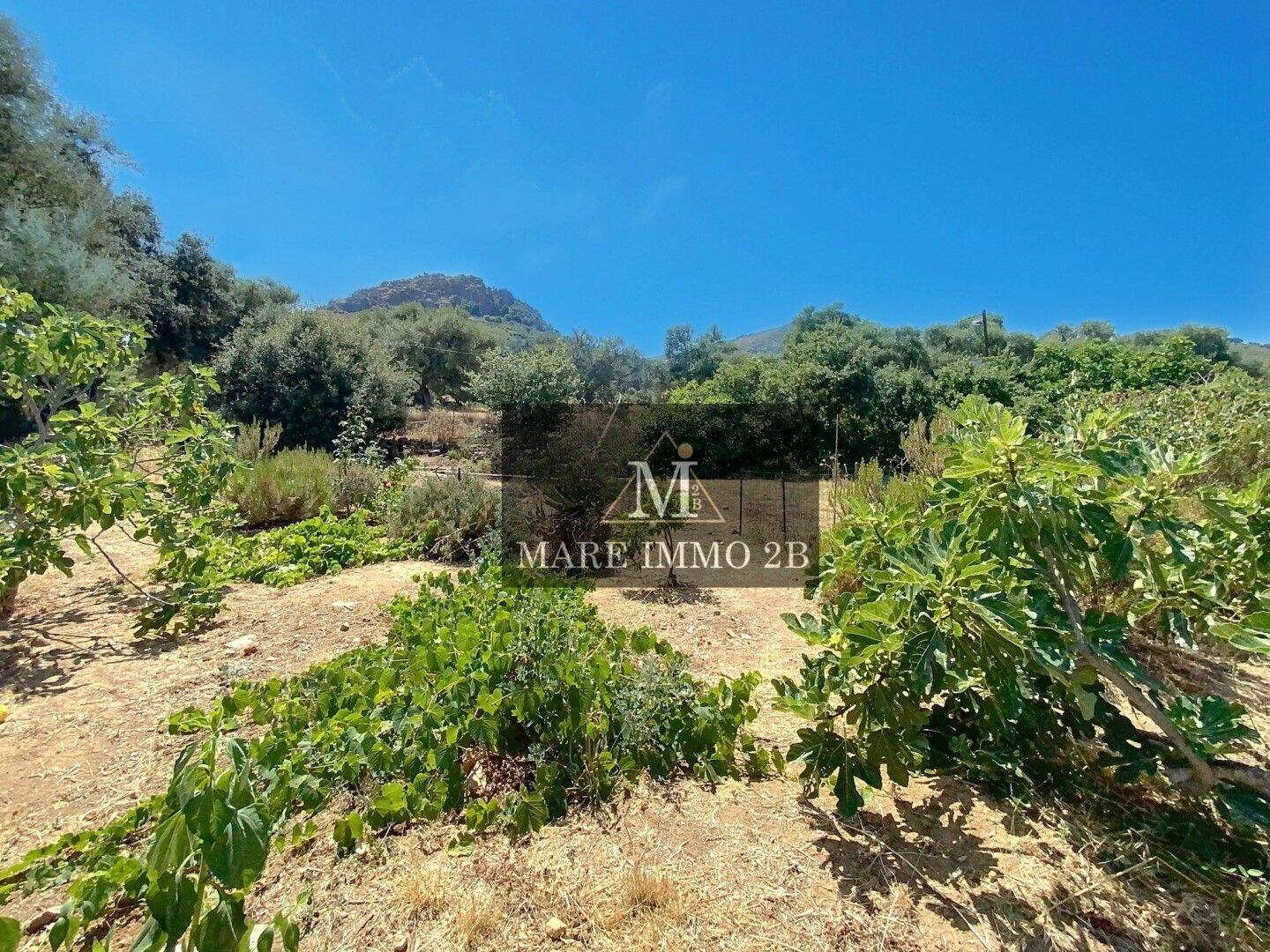 Terrain de 907 m² à Calenzana - photo 2