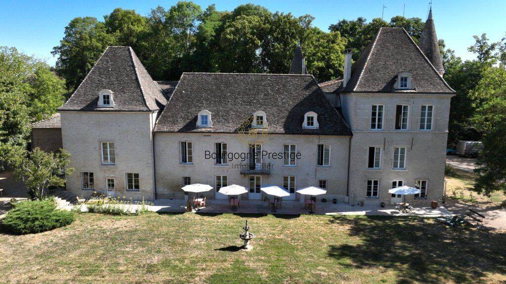 Maison 16 pièces 697 m² · à Tournus · 697 m² · 1 700 000 €