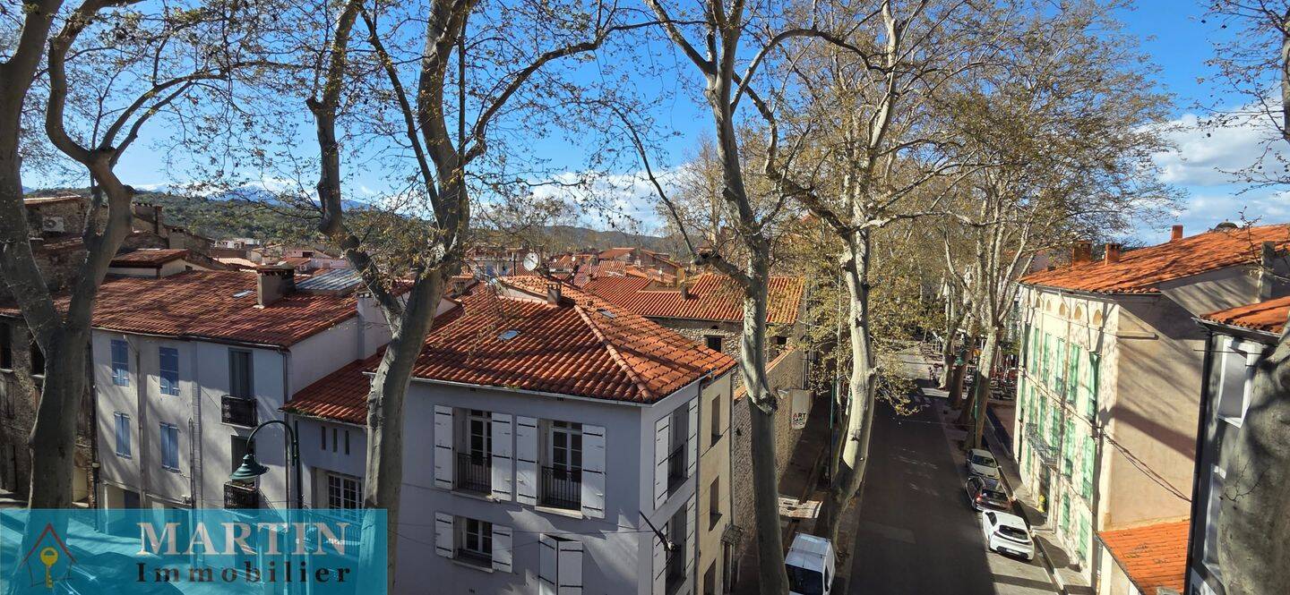 Maison 11 pièces 308 m² · à Céret · 308 m² · 470 000 €