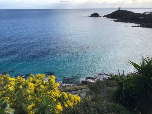 Villa à vendre 850 000 € 5 pièces 3 chambres 92 m² 633 m² de terrain Conca 20135