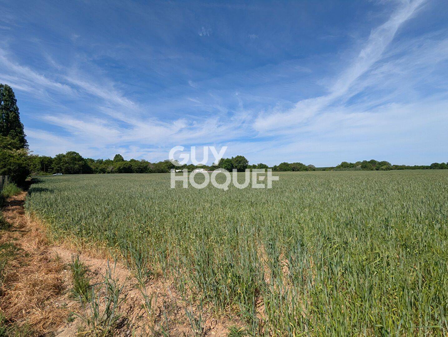 Terrain de 680 m² à Chauvigny - photo 2