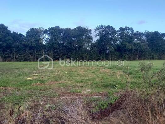 Terrain constructible viabilisé à vendre 68 000 € 543 m² de terrain Pleugueneuc 35720