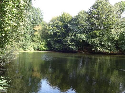 Terrain à vendre 62 140 € 4 711 m² de terrain Fleurigné 35133