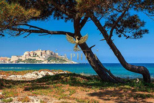 Appartement 3 pièces 66 m² · à Calvi · 66 m² · 450 000 €