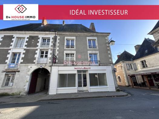 Immeuble à vendre 228 000 € 250 m² Richelieu 37120