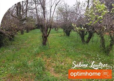 Terrain constructible à vendre 55 000 € 825 m² de terrain Vénès 81440