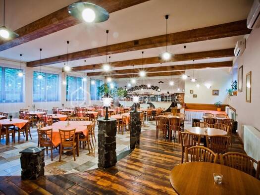 Restaurant à vendre Fonds de commerce 304 500 € Montoire-sur-le-Loir 41800