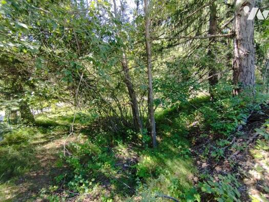 Terrain constructible à vendre 56 000 € 665 m² de terrain Seyne 04140