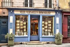 VIEUX VERSAILLES IMMOBILIER logo