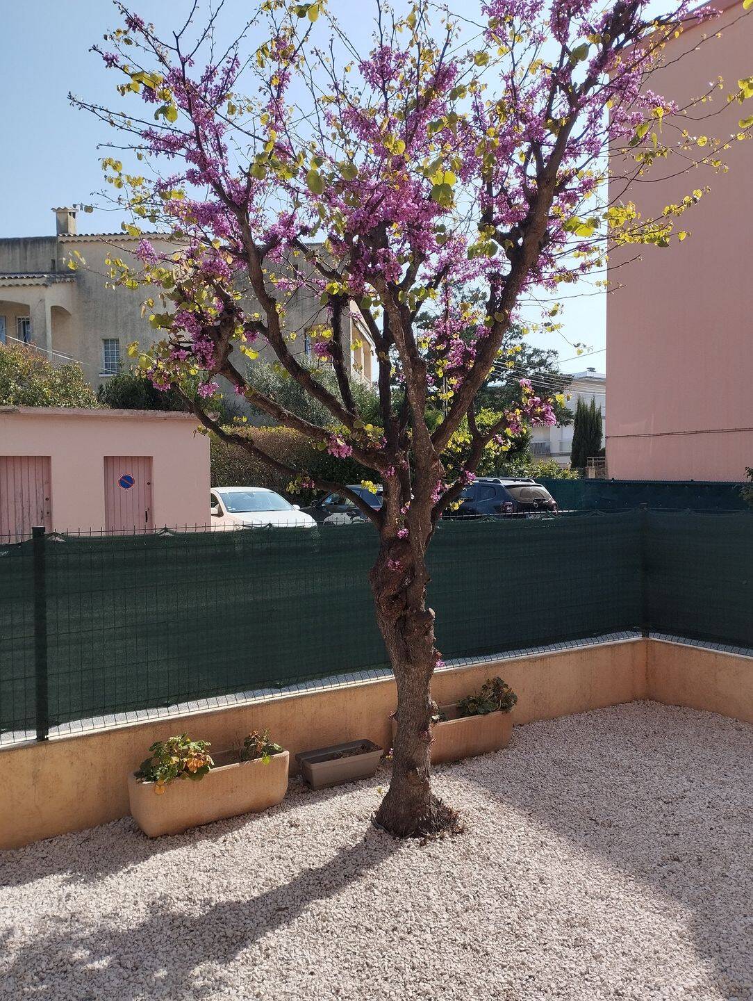 Appartement 2 pièces 36 m² · à Saint-Raphaël · 36 m² · 830 €/mois