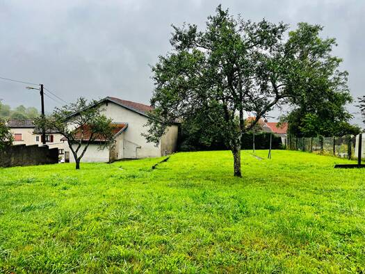 Maison à vendre 142 000 € 5 pièces 3 chambres 149 m² 1 072 m² de terrain Florémont 88130