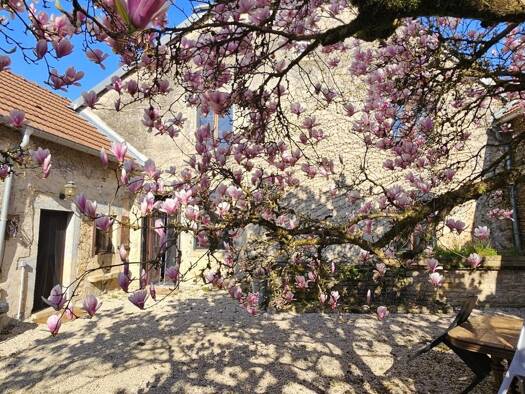 Maison à vendre 290 000 € 10 pièces 6 chambres 213 m² 1 185 m² de terrain Cusey 52190