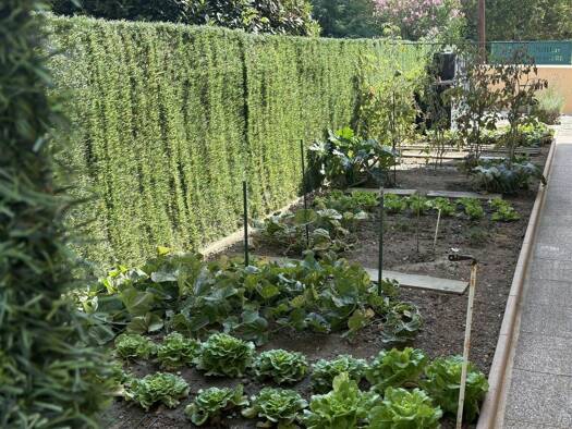 Maison à louer 970 € 3 pièces 2 chambres 104 m² Montpont-en-Bresse 71470