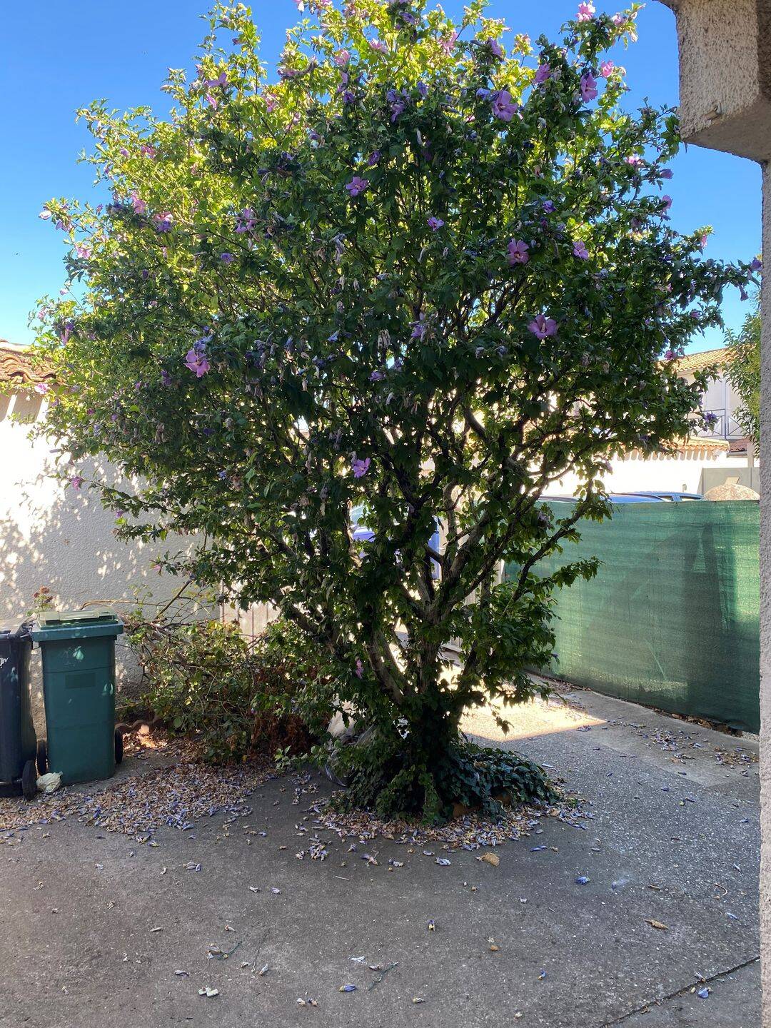 Maison 4 pièces 85 m² · à Nîmes · 85 m² · 185 555 €