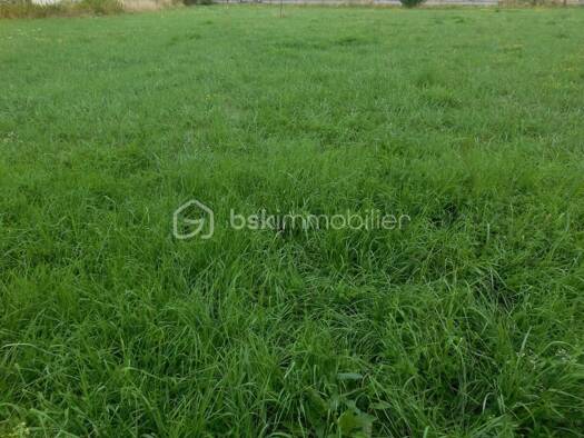 Terrain constructible à vendre 26 000 € 1 089 m² de terrain Novy-Chevrières 08300