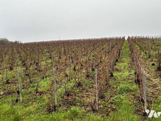 Terrain à vendre 106 200 € 1 113 m² de terrain Vandières 51700