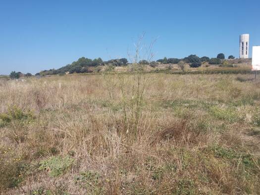Terrain constructible viabilisé à vendre 119 000 € 1 620 m² de terrain Puilacher 34230
