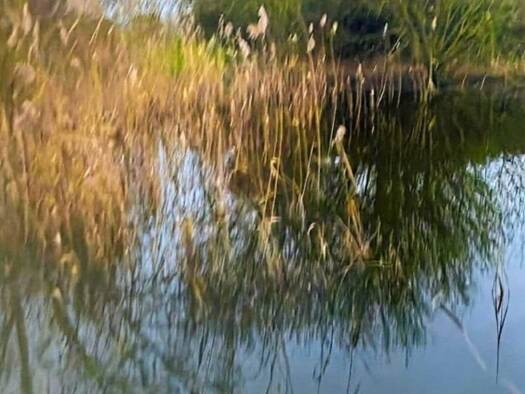 Propriété de loisirs à vendre 55 000 € 3 522 m² de terrain Cappelle-Brouck 59630