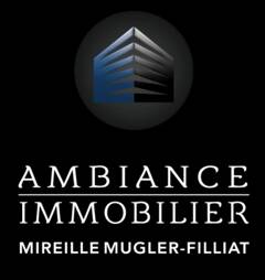 AMBIANCE IMMOBILIER logo