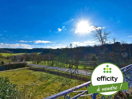 Maison à vendre 249 000 € 6 pièces 4 chambres 164 m² 3 919 m² de terrain Chazelles-sur-Lyon 42140