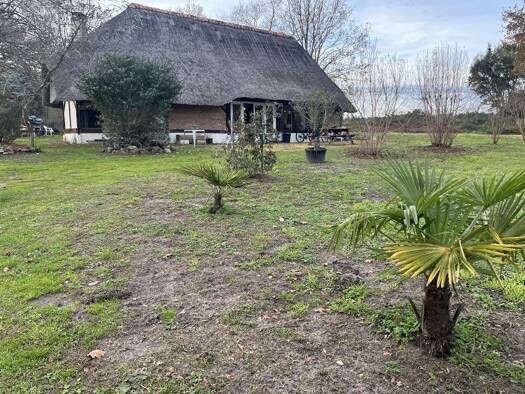 Maison à vendre 128 000 € 3 pièces 2 chambres 120 m² 6 812 m² de terrain Créon-d'Armagnac 40240