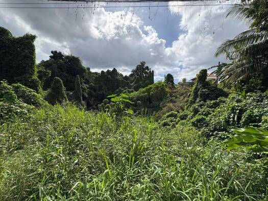 Terrain constructible à vendre 130 000 € 3 158 m² de terrain Morne-à-l'Eau 97111