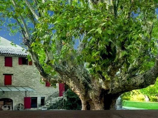 Maison à vendre 1 350 000 € 16 pièces 8 chambres 390 m² 13 022 m² de terrain Forcalquier 04300