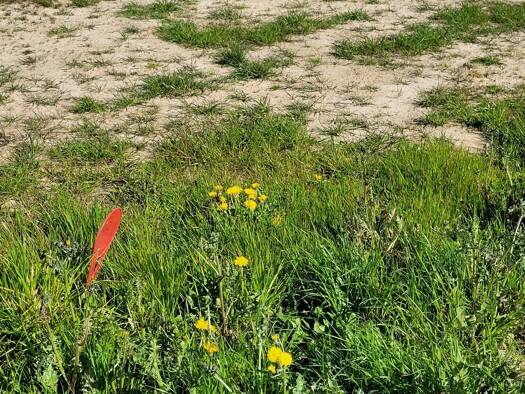 Terrain constructible viabilisé à vendre 61 000 € 560 m² de terrain Landéda 29870