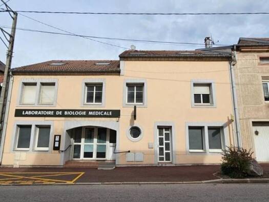 Appartement à vendre 99 000 € 4 pièces 3 chambres 105 m² RDC Raon-l'Étape 88110