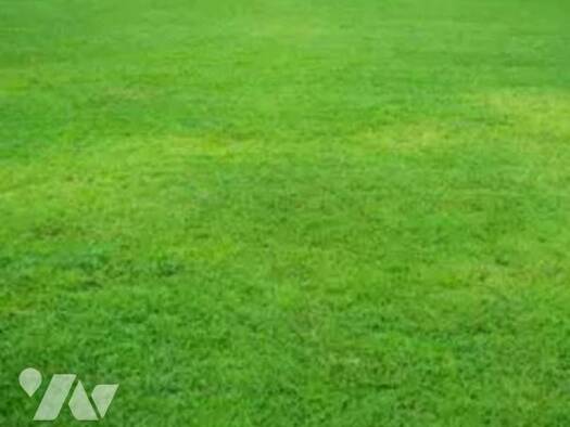 Local commercial à vendre 8 500 € 4 448 m² de surface de vente Donges 44480