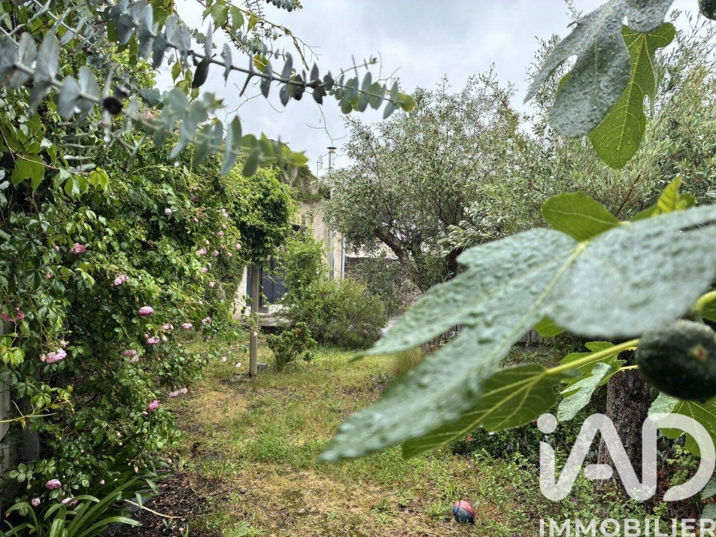 Maison 6 pièces 220 m² · à Chalonnes-sur-Loire · 220 m² · 375 000 €