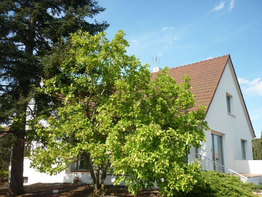 Maison 7 pièces 160 m² · à Longvic · 160 m² · 1 620 €