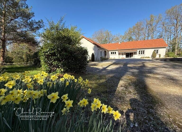Maison en viager libre Bouquet 134 860 € 10 pièces 4<br/>chambres 260 m²<br/>superficie 24 265 m²<br/>terrain Romorantin Est Romorantin-Lanthenay 41200