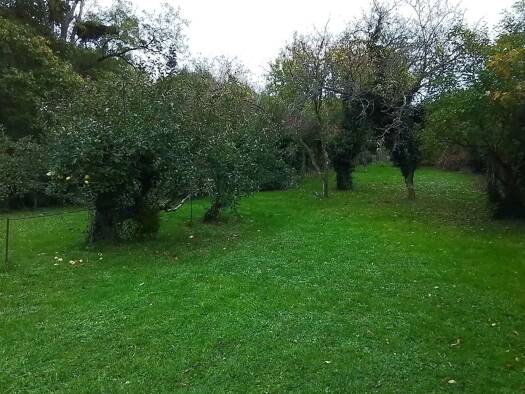 Terrain à vendre 77 000 € 1 097 m² de terrain Héricy 77850