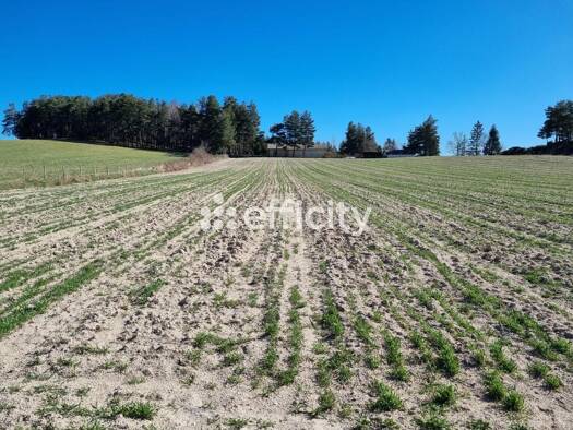 Terrain à vendre 70 000 € 2 894 m² de terrain Le Malzieu-Ville 48140