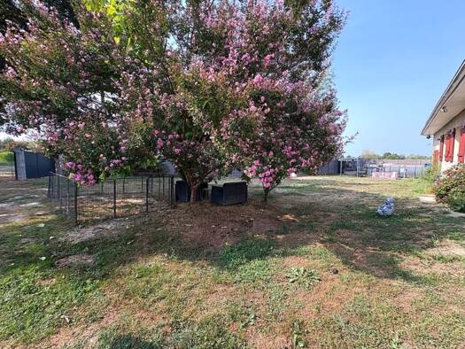 Maison de plain-pied à vendre 313 000 € 4 pièces 3 chambres 137 m² 56 657 m² de terrain Rive Droite Aire-sur-l'Adour 40800