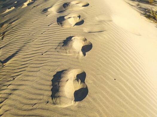 Appartement à vendre 196 900 € 2 pièces 55 m² Universites Dijon 21000