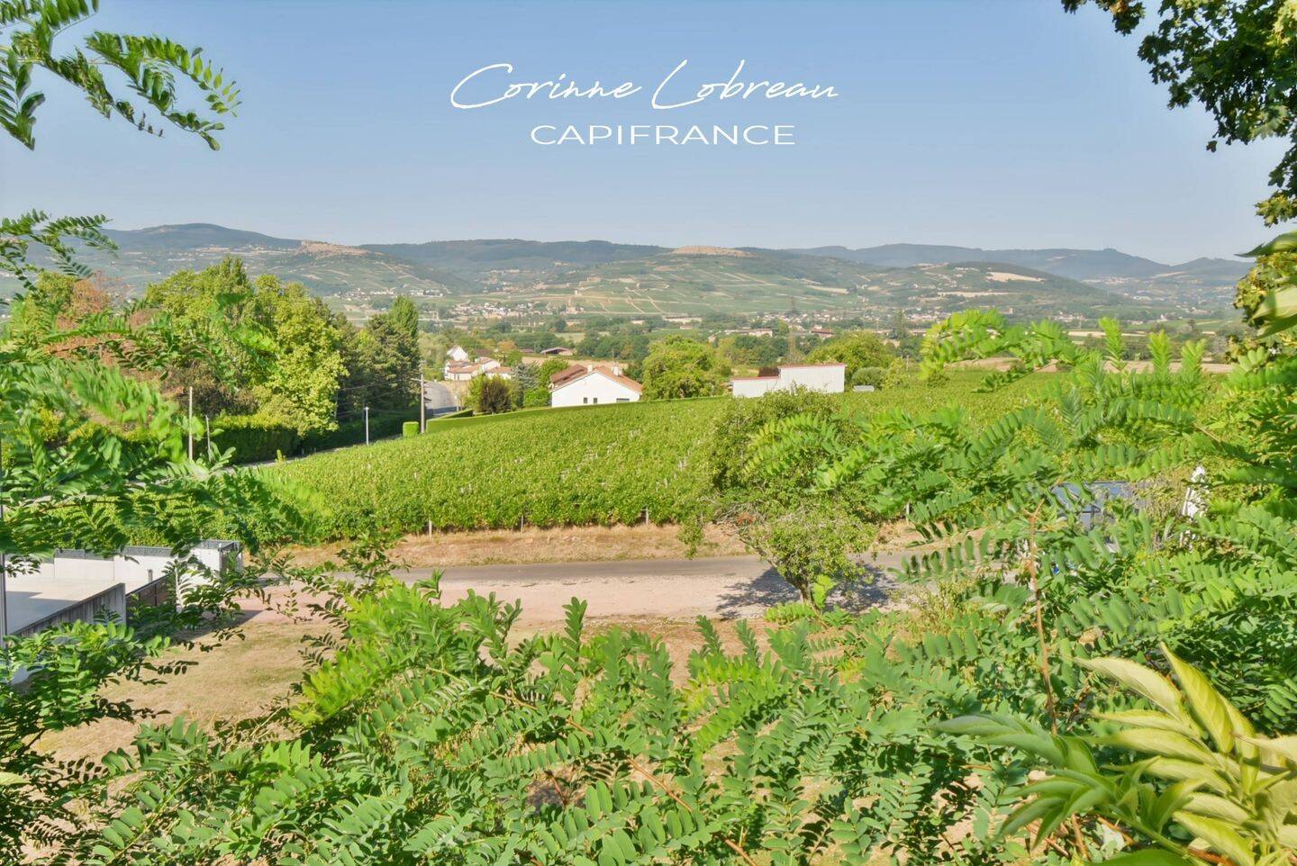 Maison 9 pièces 500 m² · à Charnay-lès-Mâcon · 500 m² · 1 450 000 €