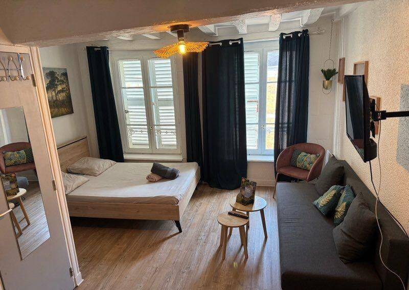 Appartement 1 pièce 20 m² · à Orléans · 20 m² · 580 €
