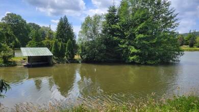 Propriété de loisirs à vendre 207 900 € 43 885 m² de terrain Romagny-sous-Rougemont 90110